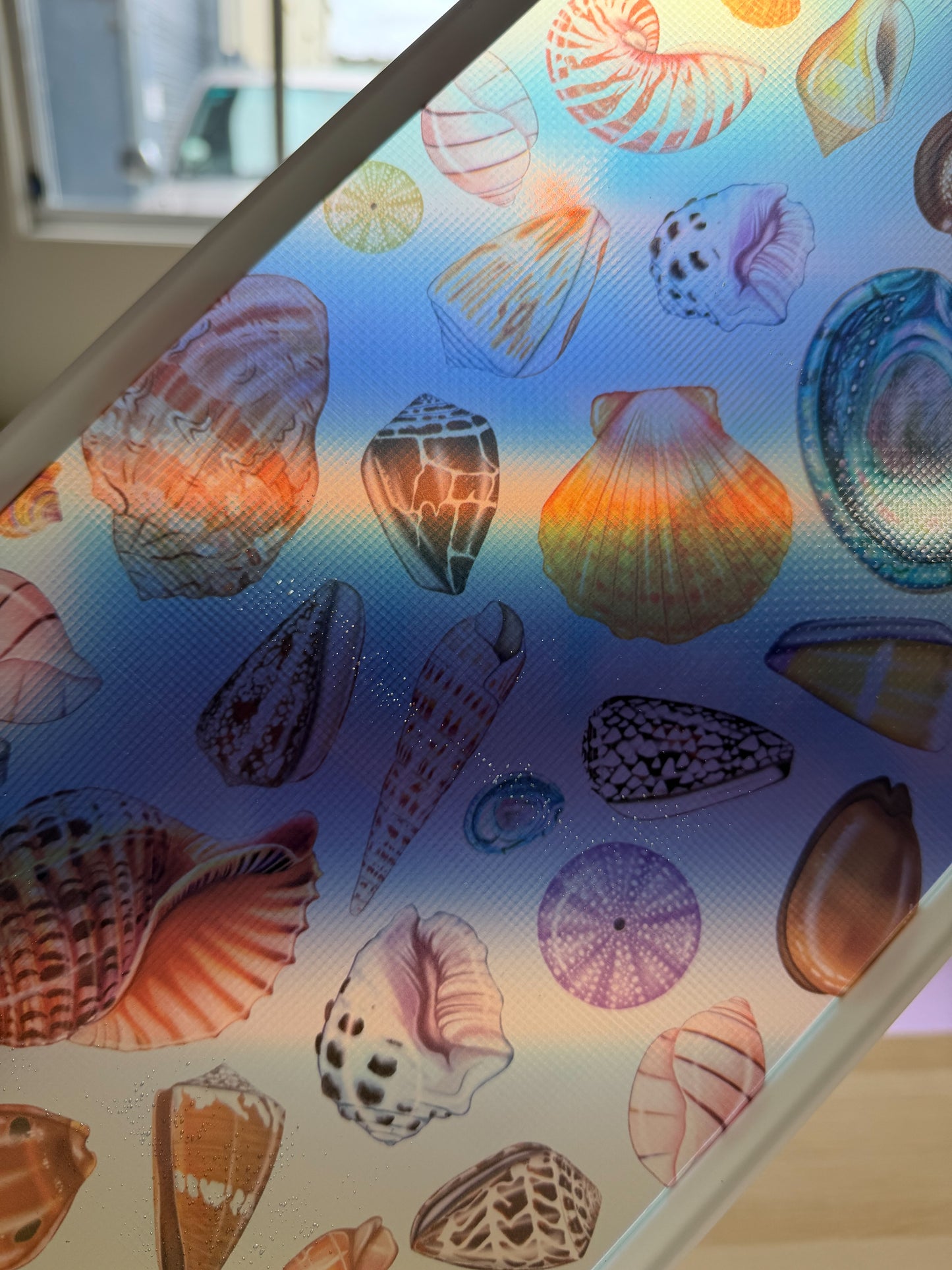 DISCOUNTED SHELL FREEDIVING FINS
