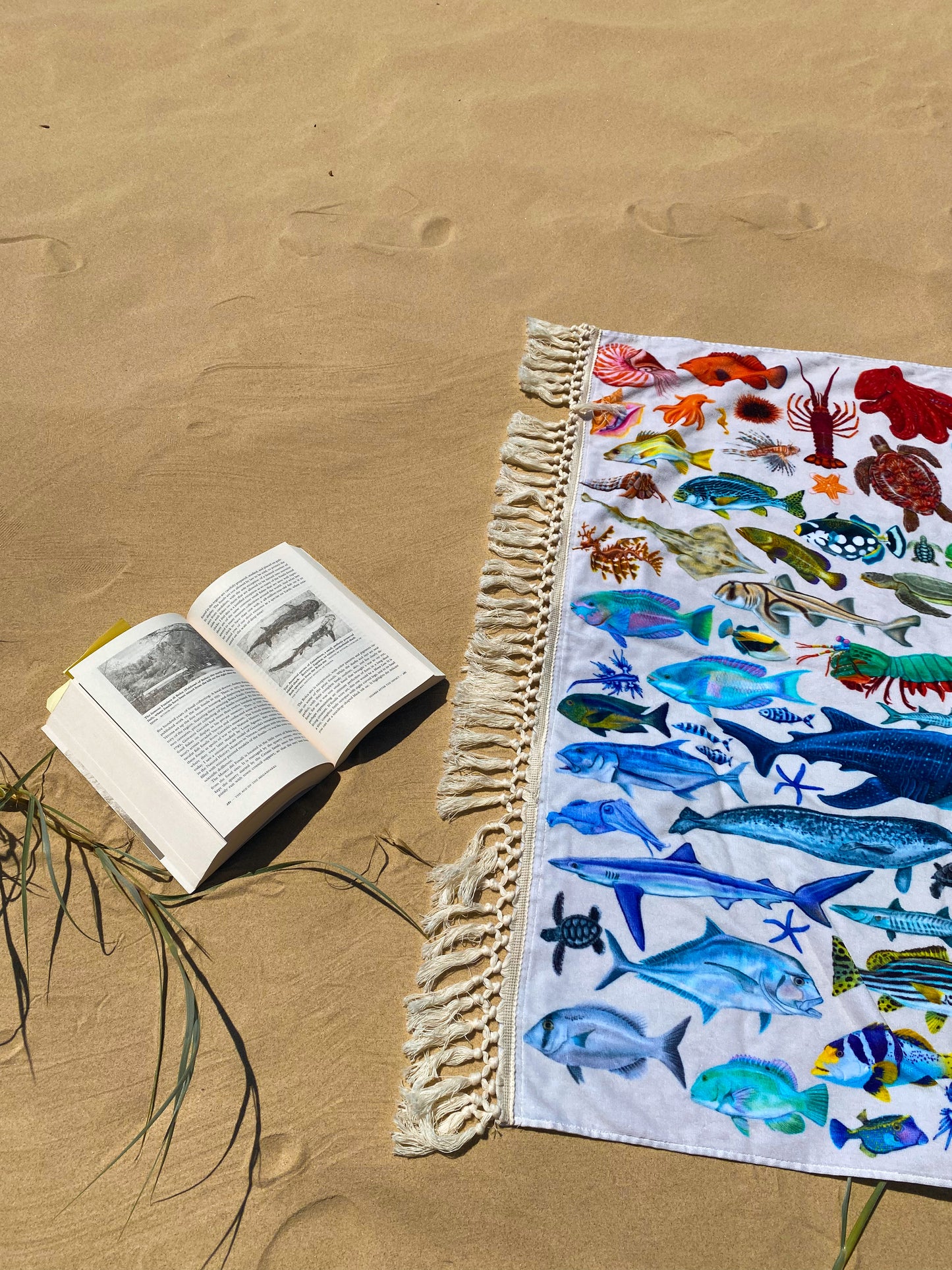Rainbow towel XL