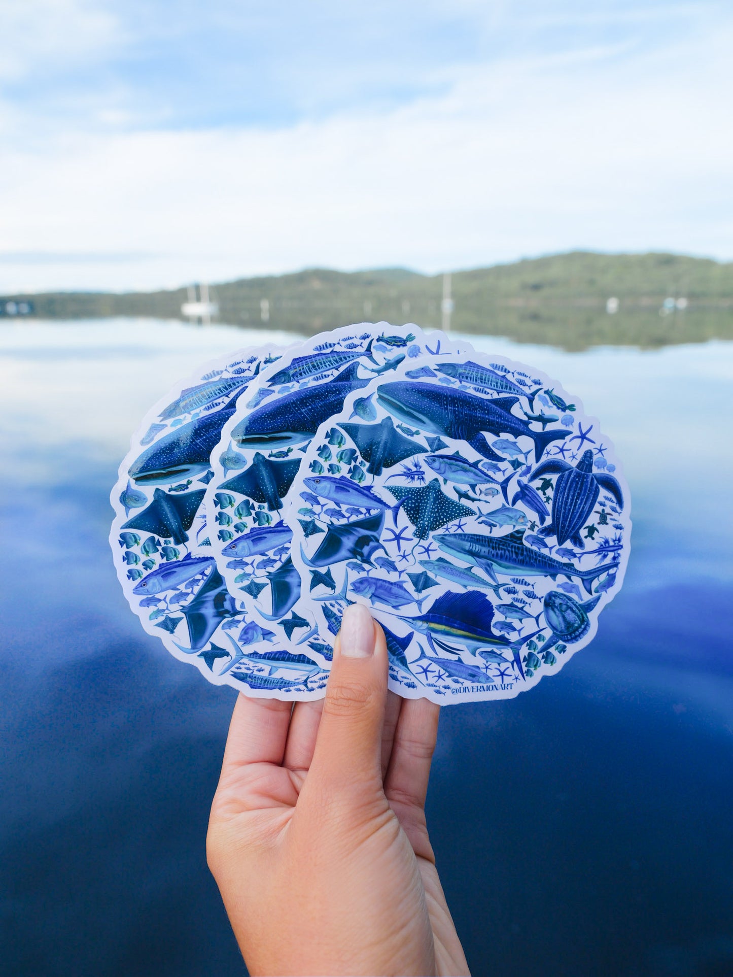 BLUE OCEAN STICKER