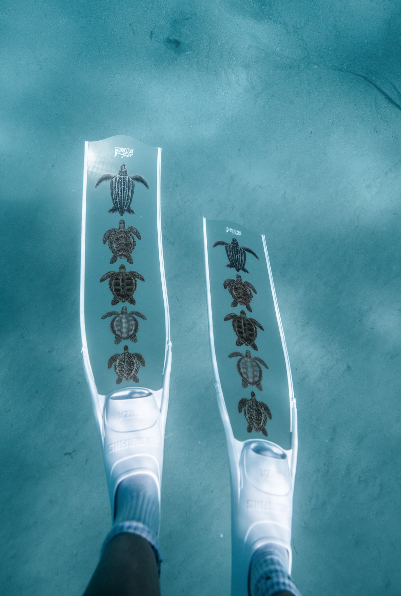 TURTLE FREEDIVING FINS