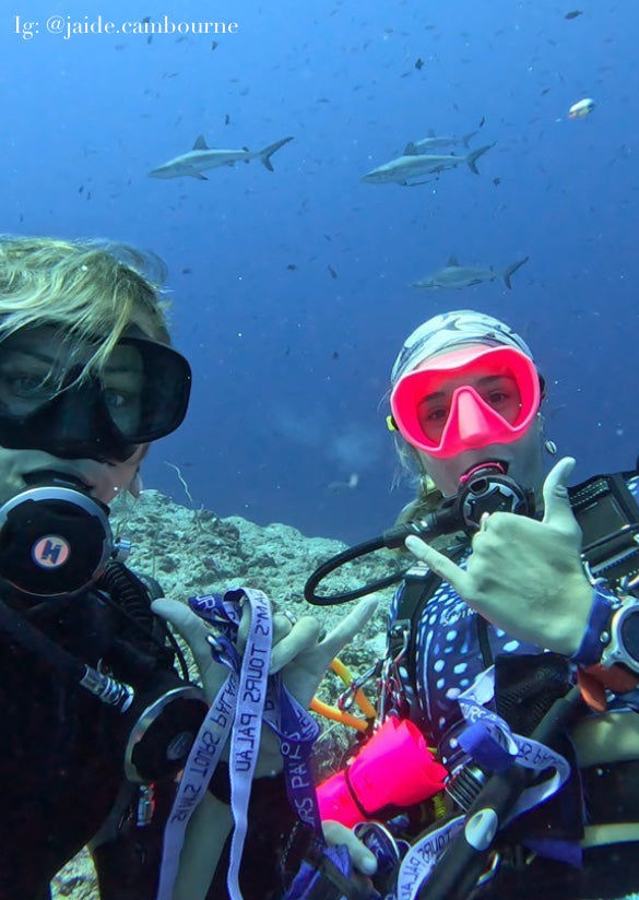 SHARKS BLUE GAITER