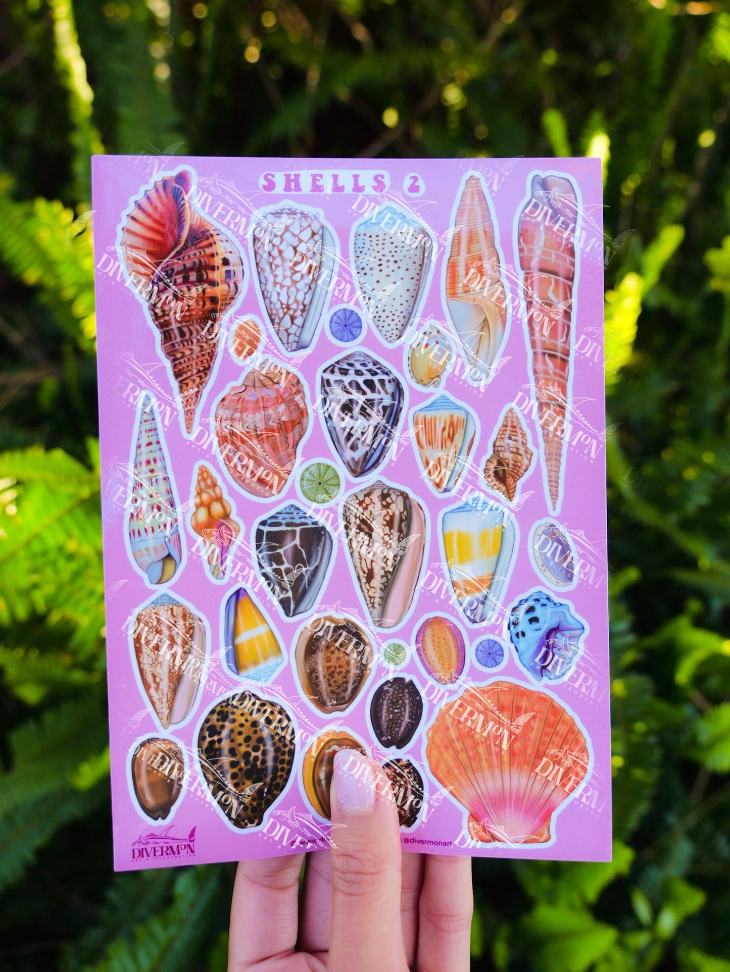 SHELLS 2 sticker sheet
