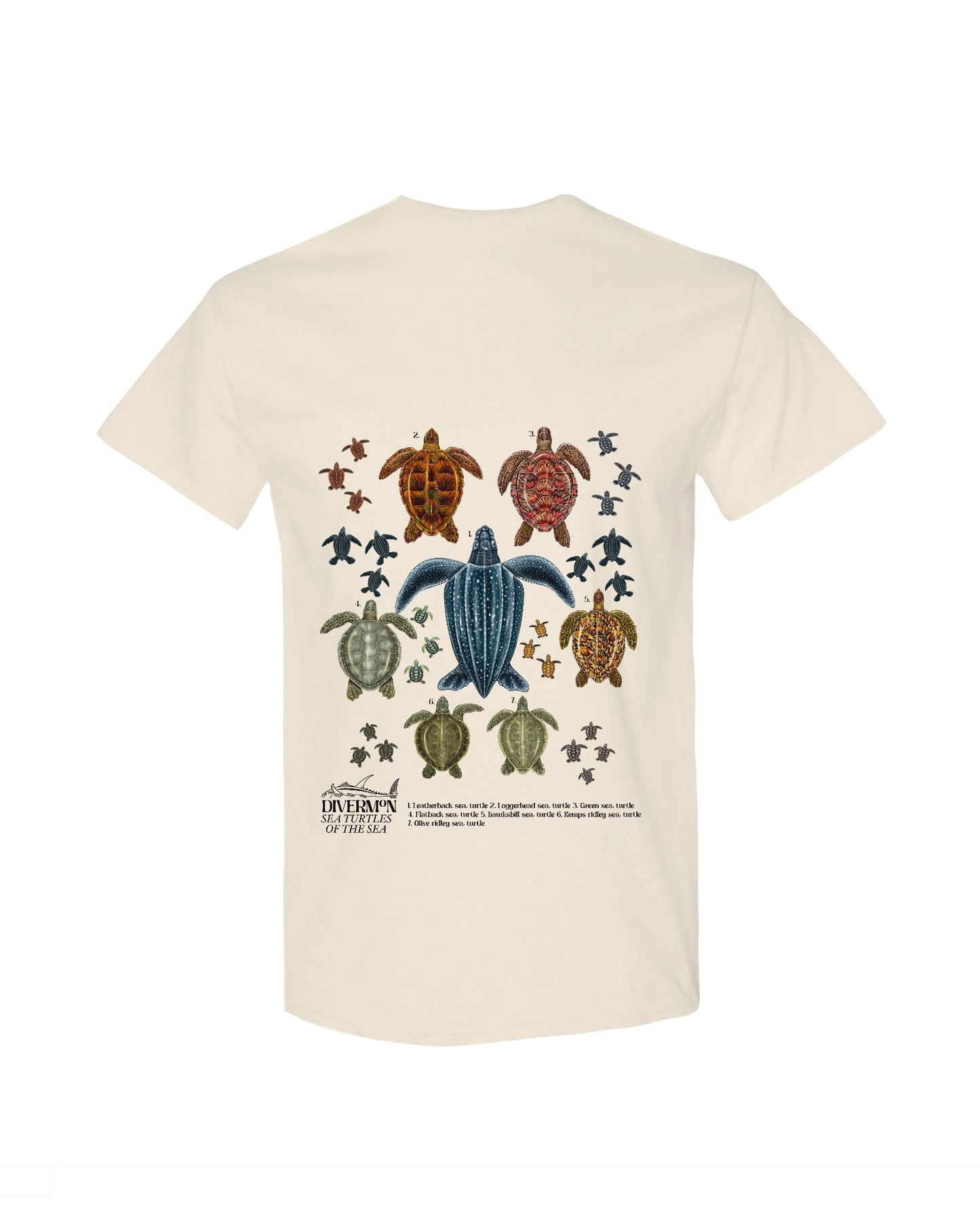 BACK TURTLES T-SHIRT