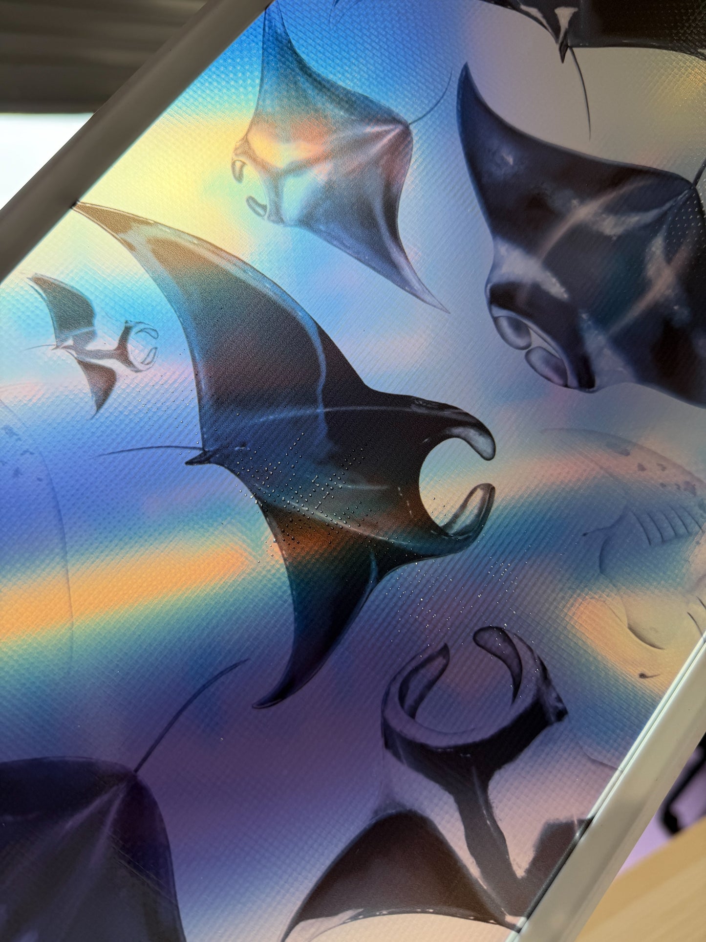 DISCOUNTED MANTA FREEDIVING FINS