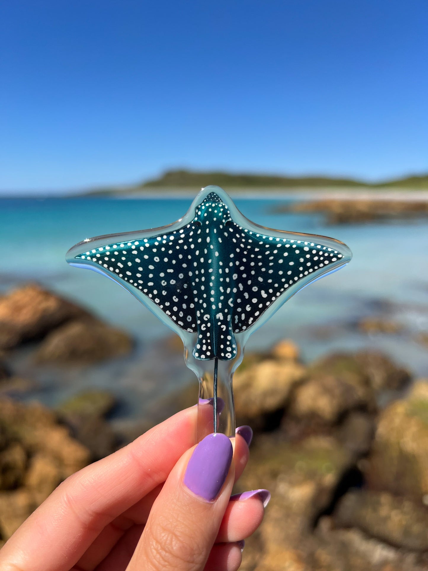 EAGLE RAY FRIDGE MAGNET