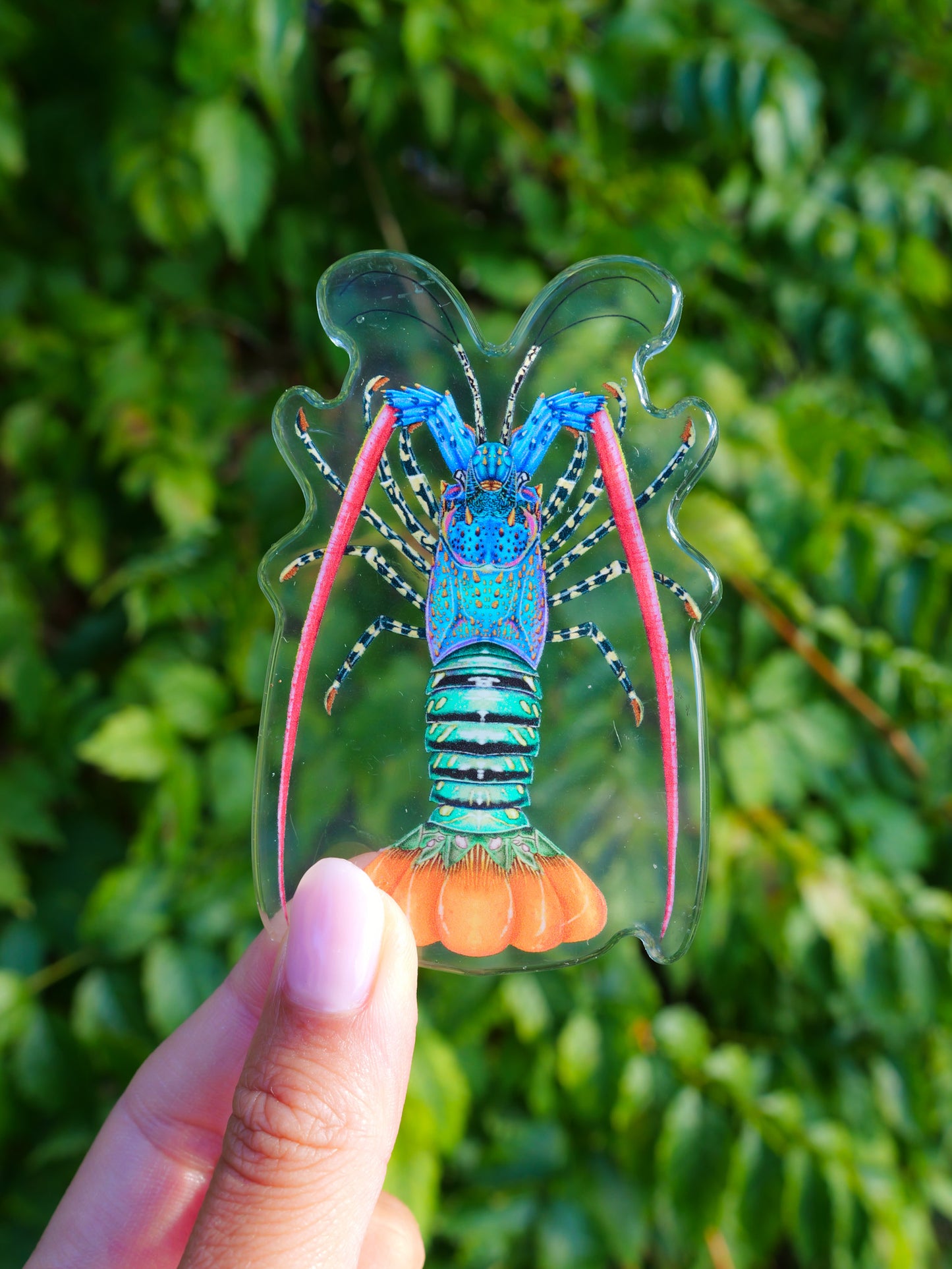 ORNATE LOBSTER FRIDGE MAGNET