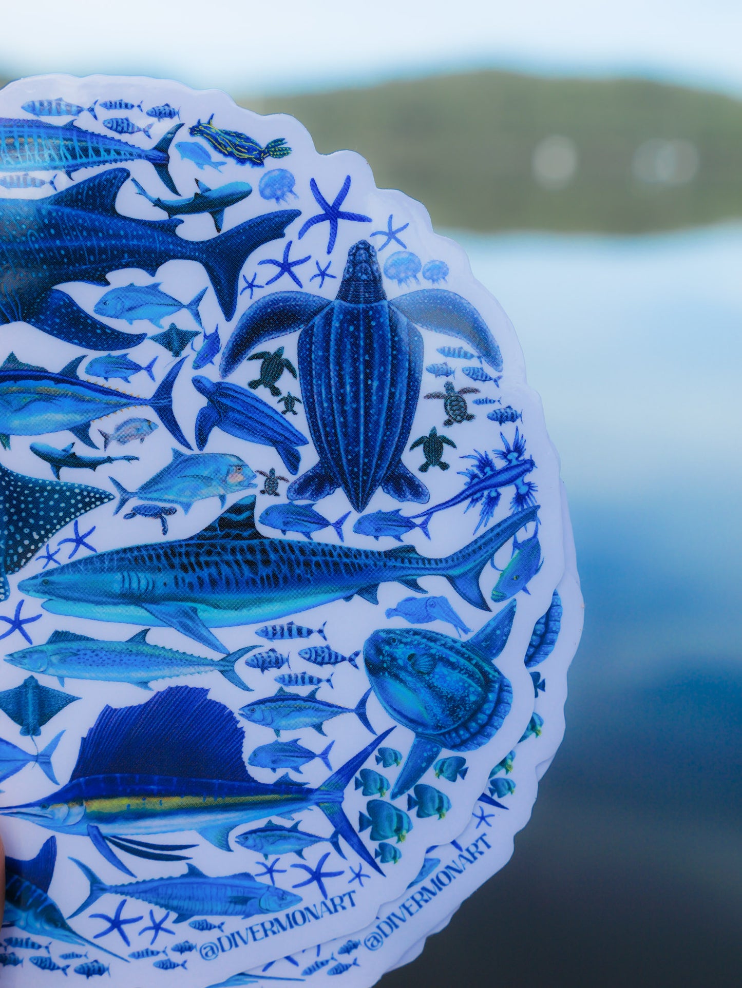 BLUE OCEAN STICKER