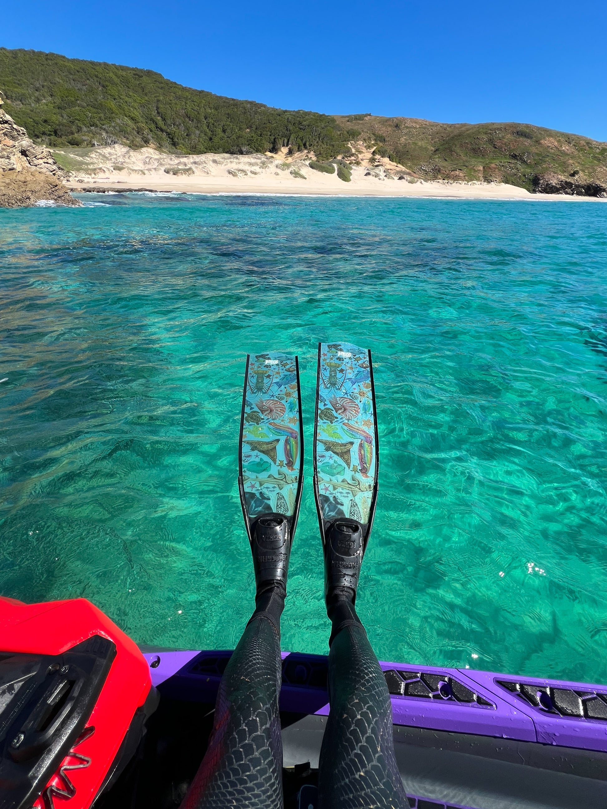 Custom freediving fins featuring DiverMon's original marine art for ocean lovers premium freediving fins