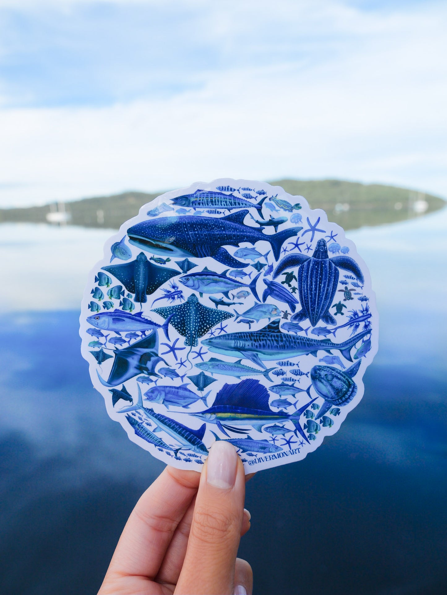 BLUE OCEAN STICKER