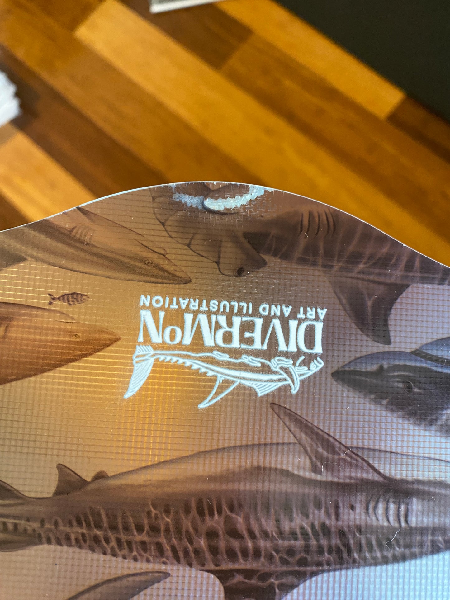 (FAULTY) SHARK FREEDIVING FINS 2
