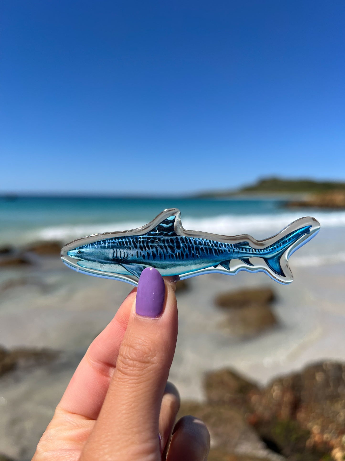 TIGER SHARK FRIDGE MAGNET