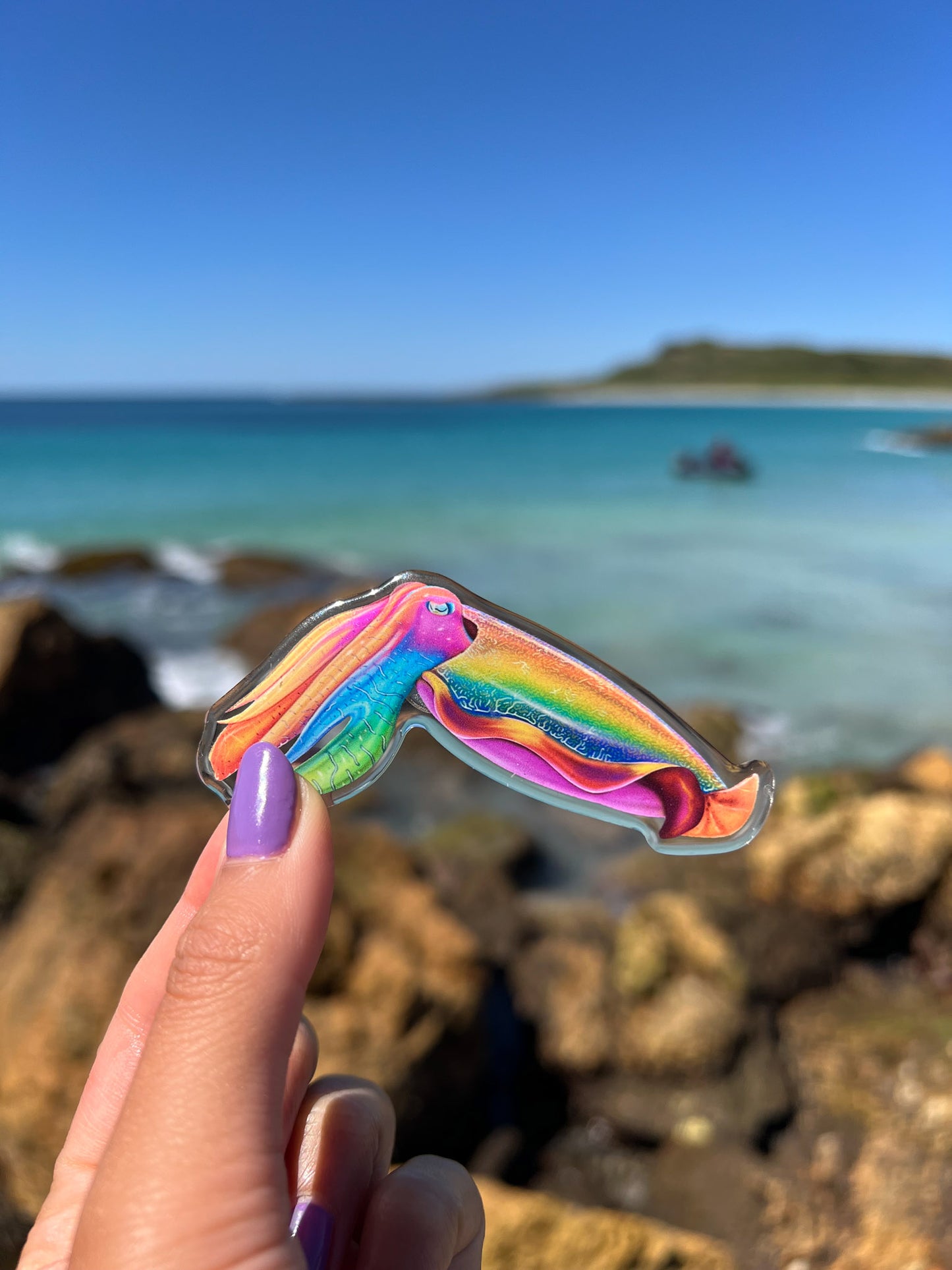 CUTTLEFISH FRIDGE MAGNET