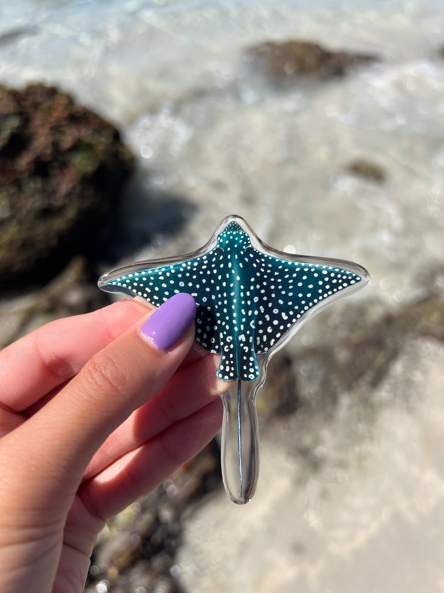 EAGLE RAY FRIDGE MAGNET