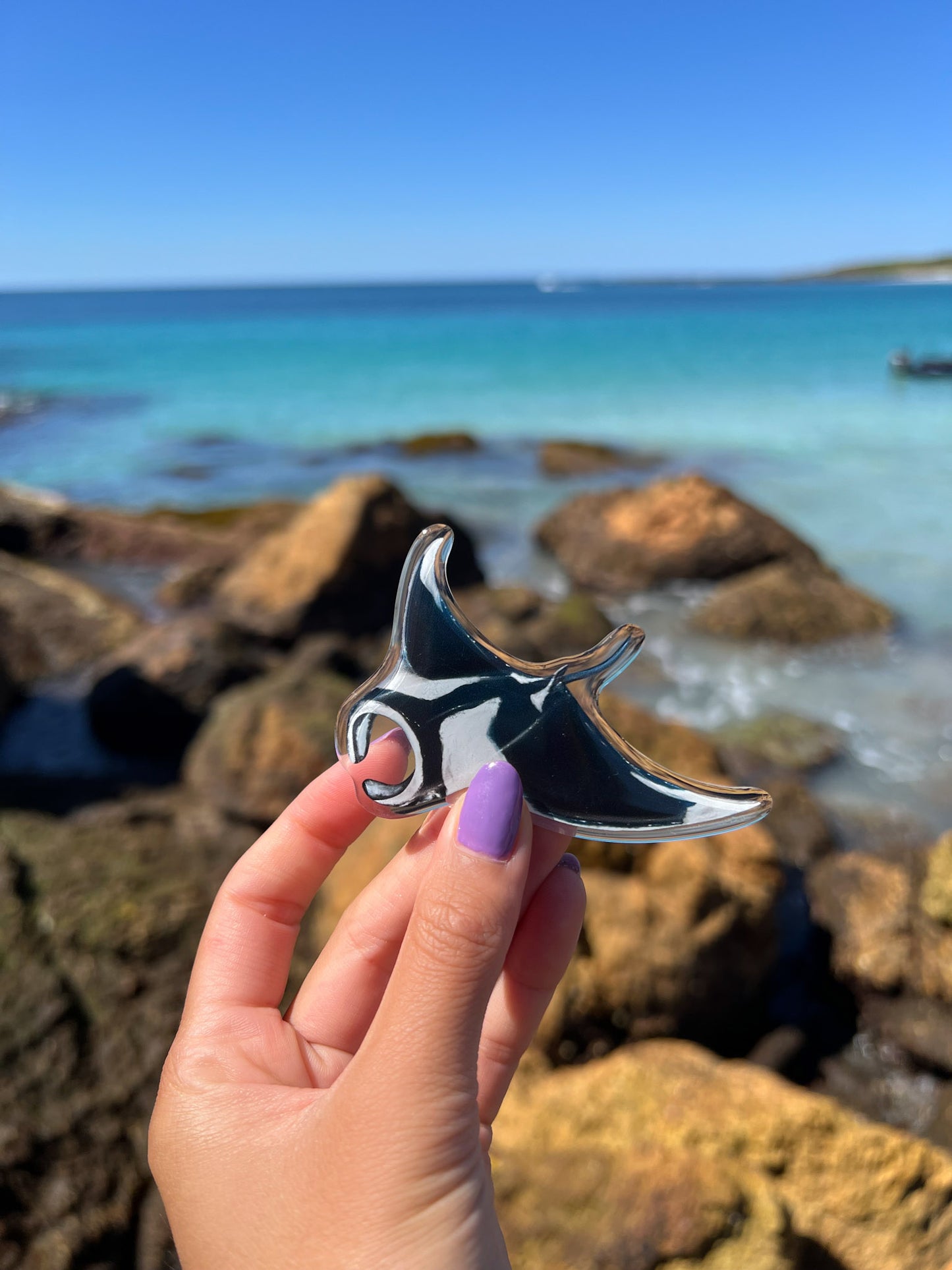 MANTA FRIDGE MAGNET