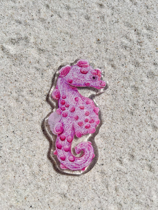 PYGMY SEAHORSE FRIDGE MAGNET