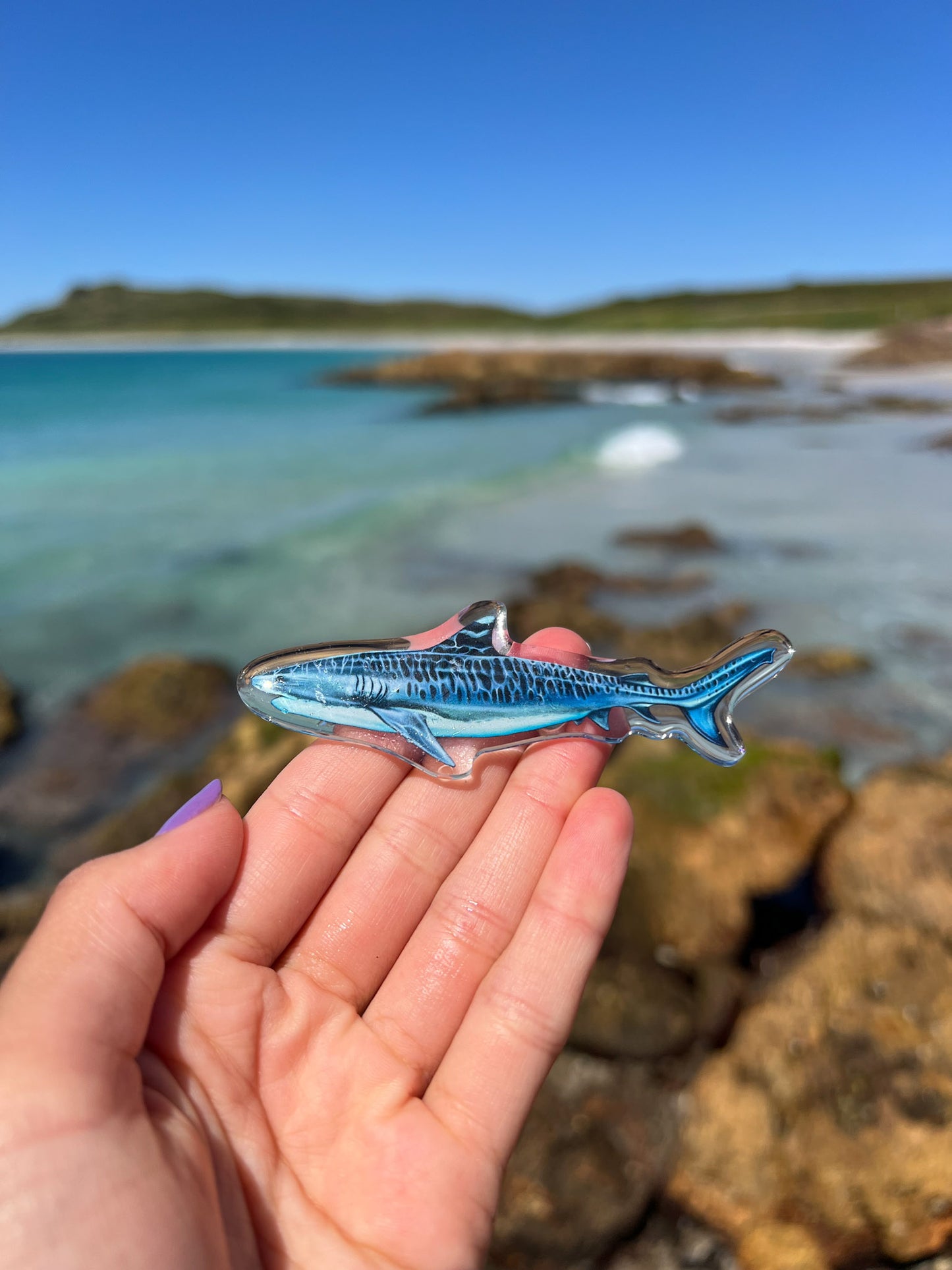 TIGER SHARK FRIDGE MAGNET