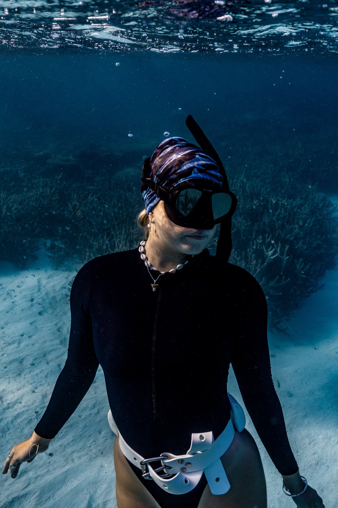 SHARKS BLACK GAITER