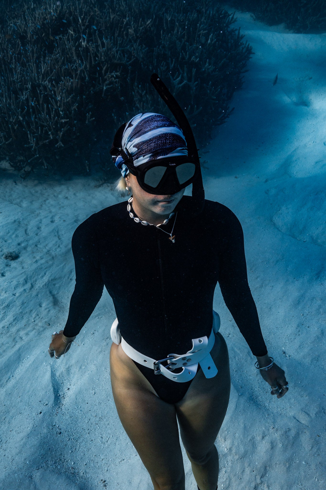 WHALE SHARK BLUE UV GAITER HEADWEAR