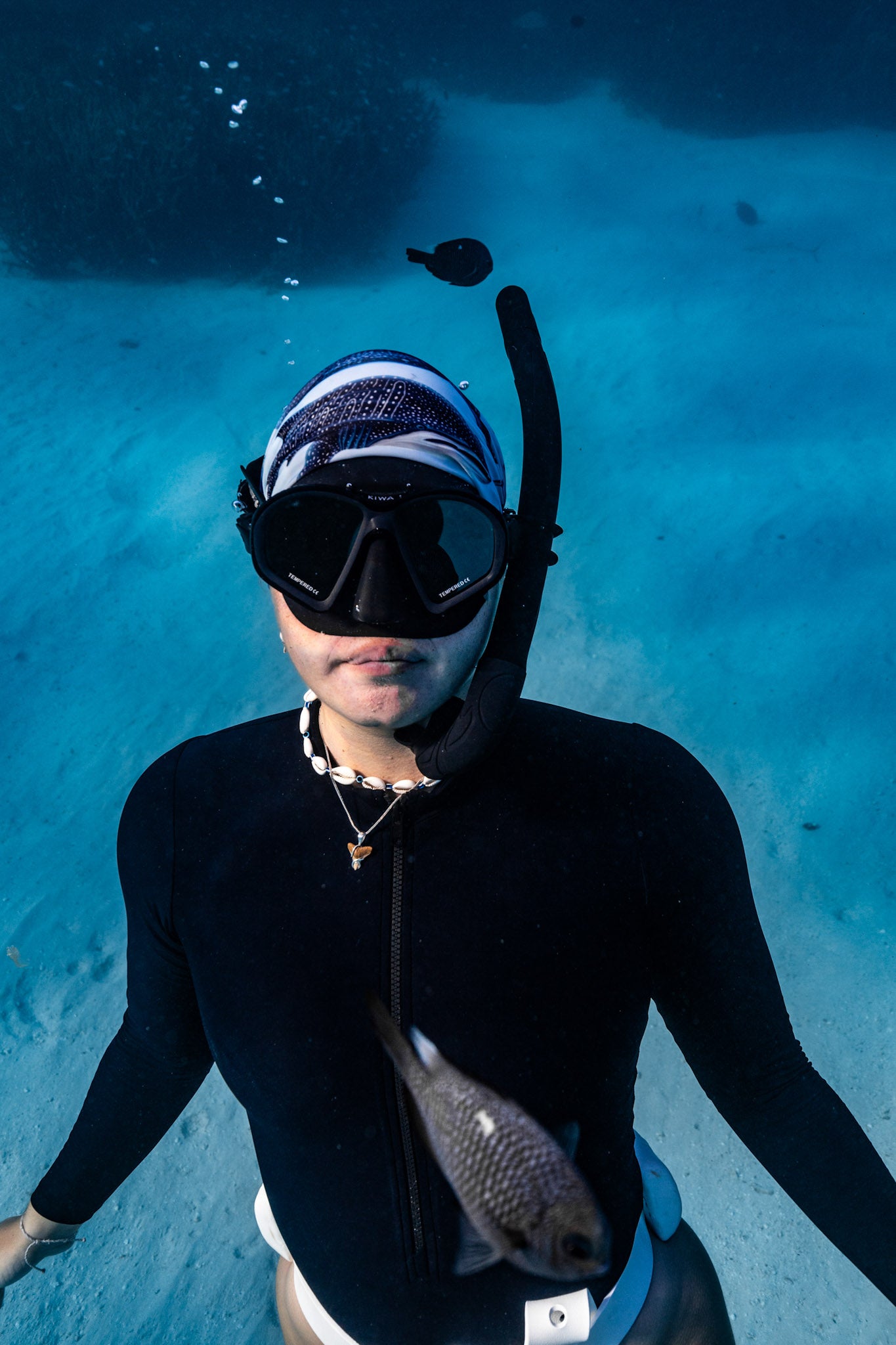 WHALE SHARK BLUE UV GAITER HEADWEAR
