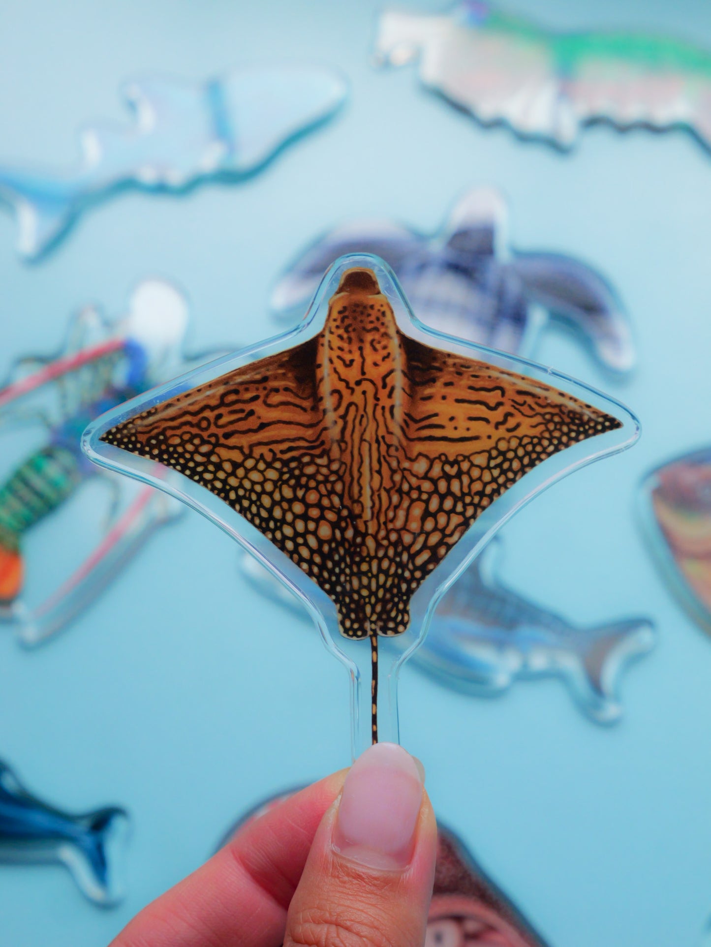 ORNATE EAGLE RAY FRIDGE MAGNET
