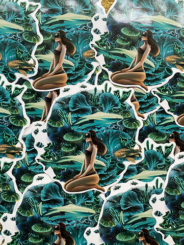 6 PACK STICKERS