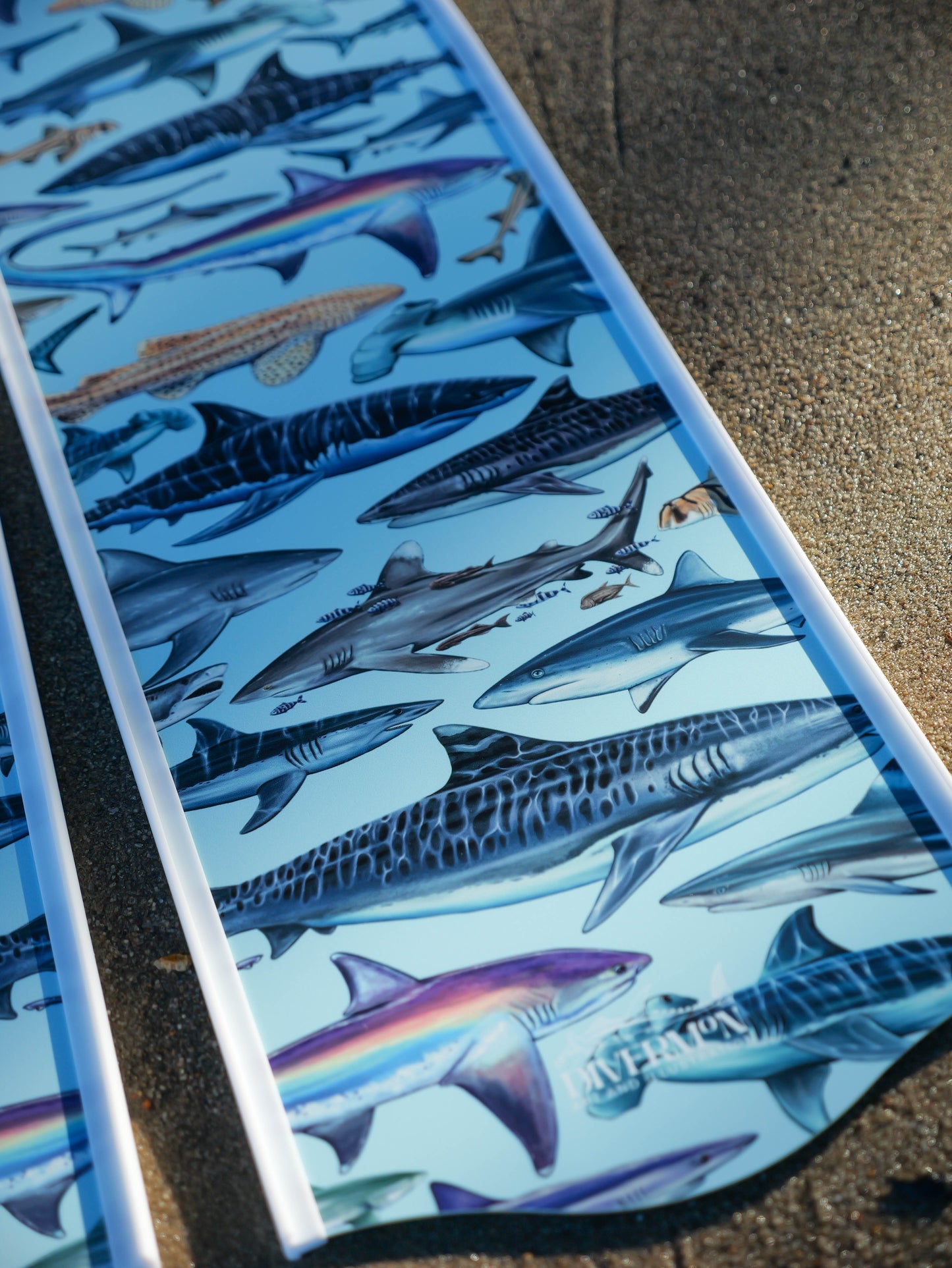 WHITE SHARK FREEDIVING FINS