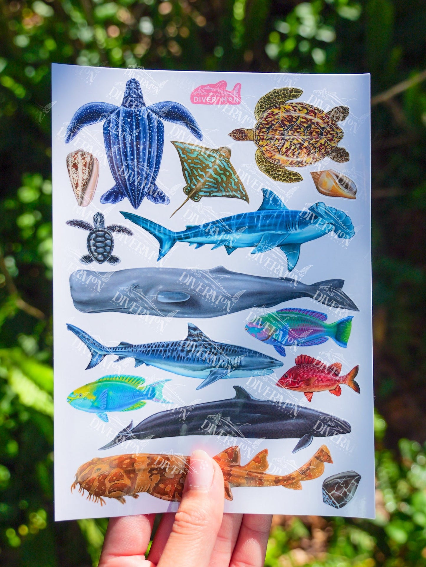 Leatherback sticker sheet