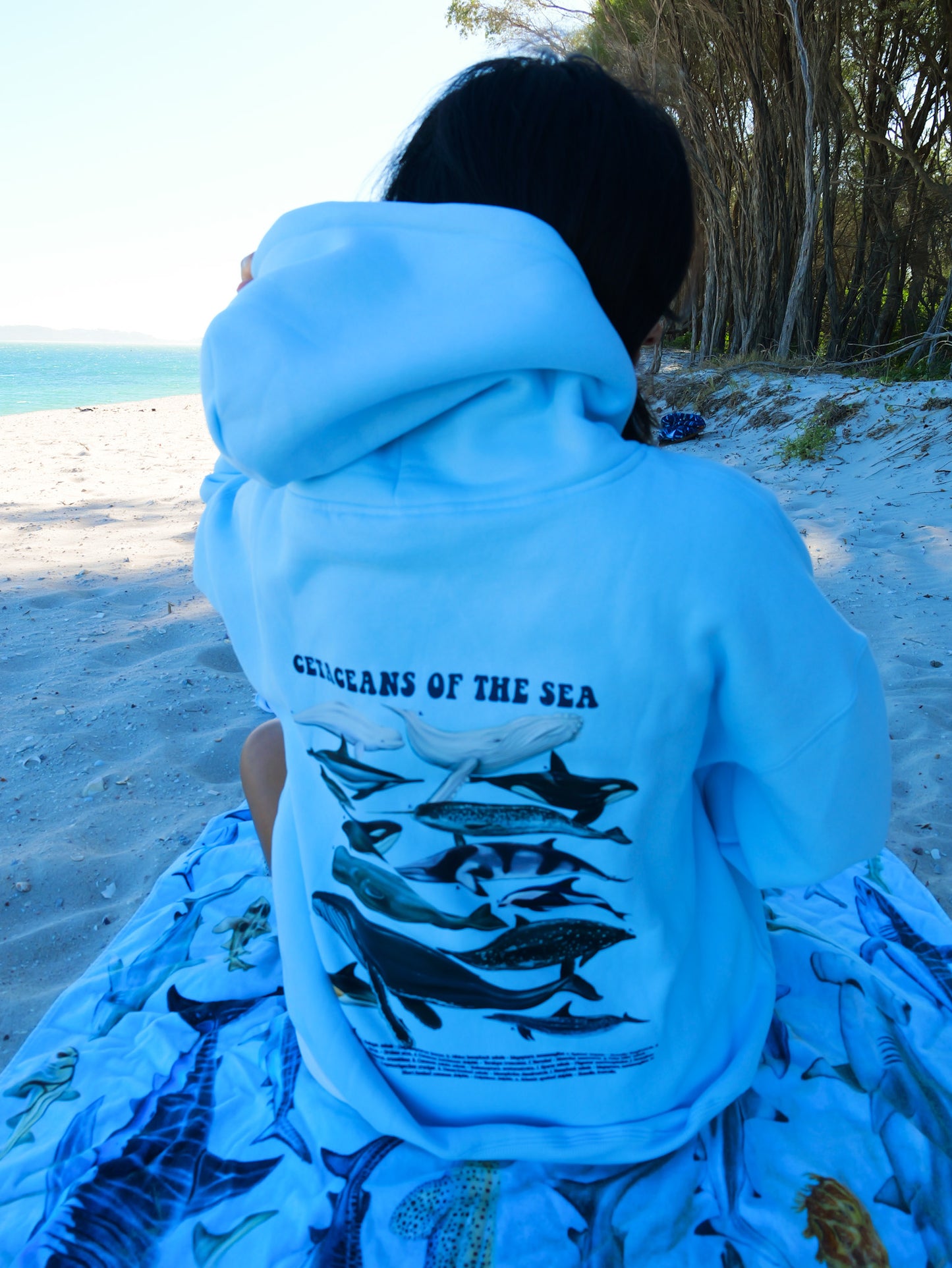 Cetacean Light Blue unisex hoodie alternate view Divermon marine design