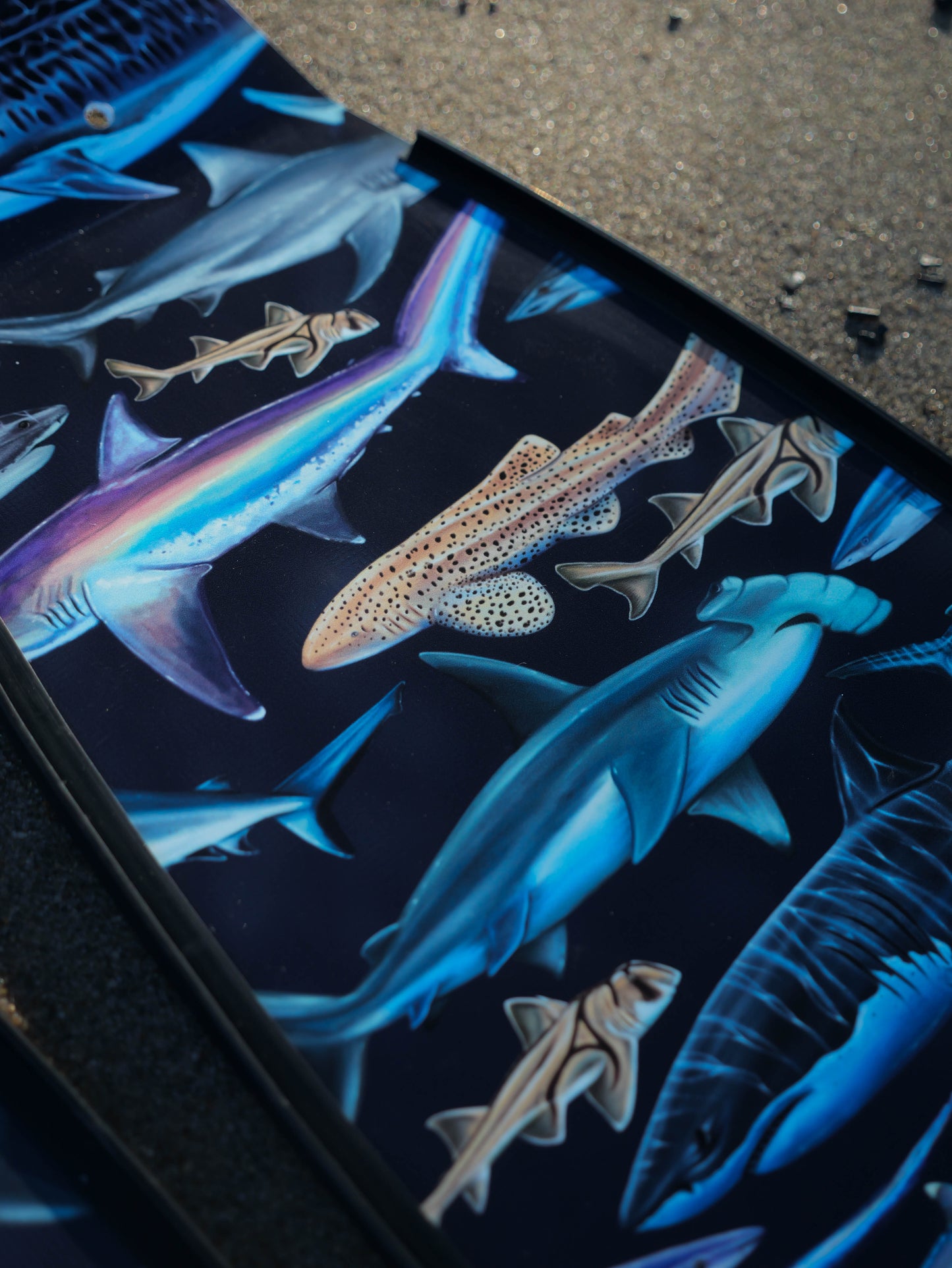 BLACK SHARK FREEDIVING FINS