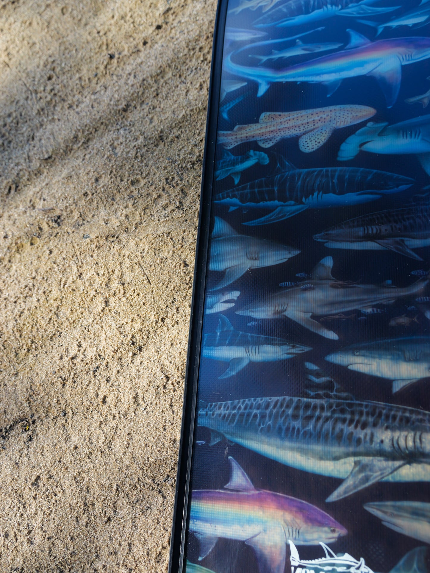 TRANSLUCENT THRESHER SHARK FREEDIVING FINS