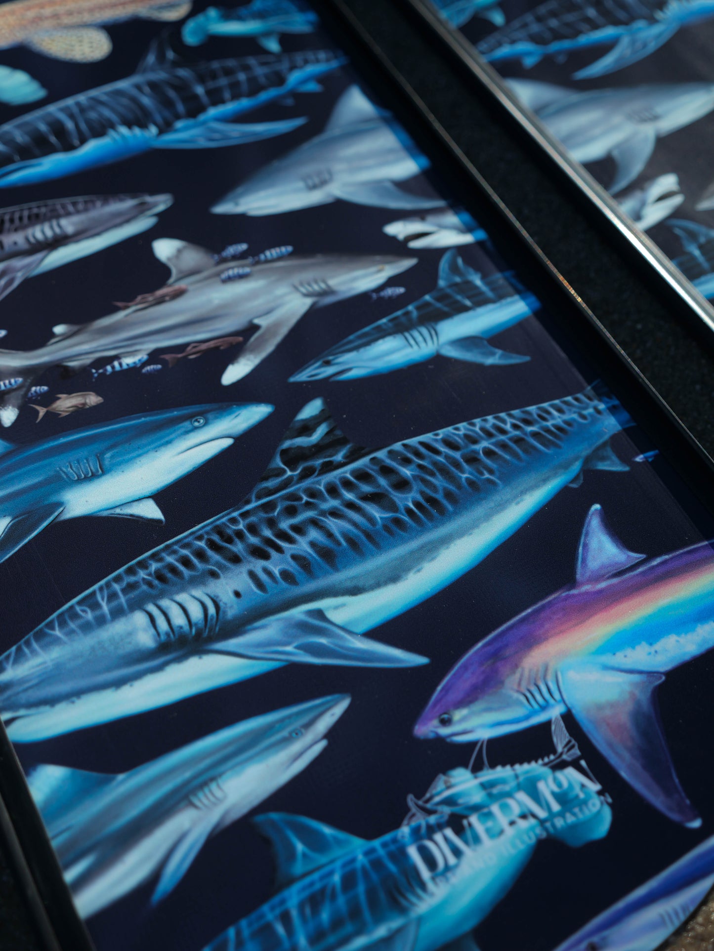 BLACK SHARK FREEDIVING FINS