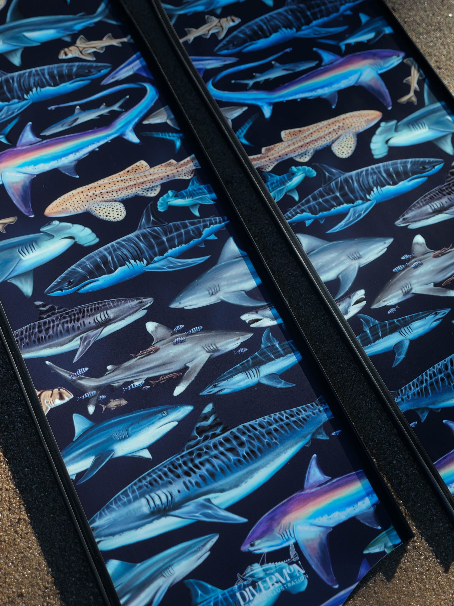BLACK SHARK FREEDIVING FINS