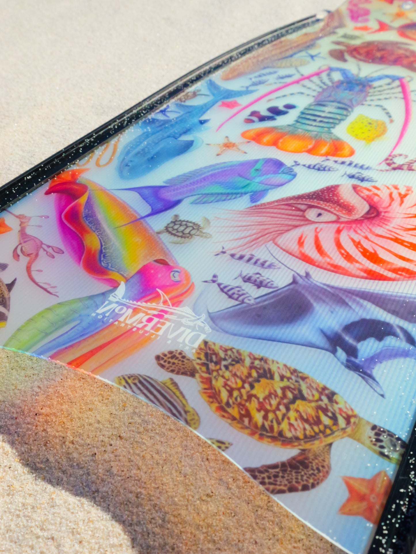 SHORT FINS RAINBOW BLACK