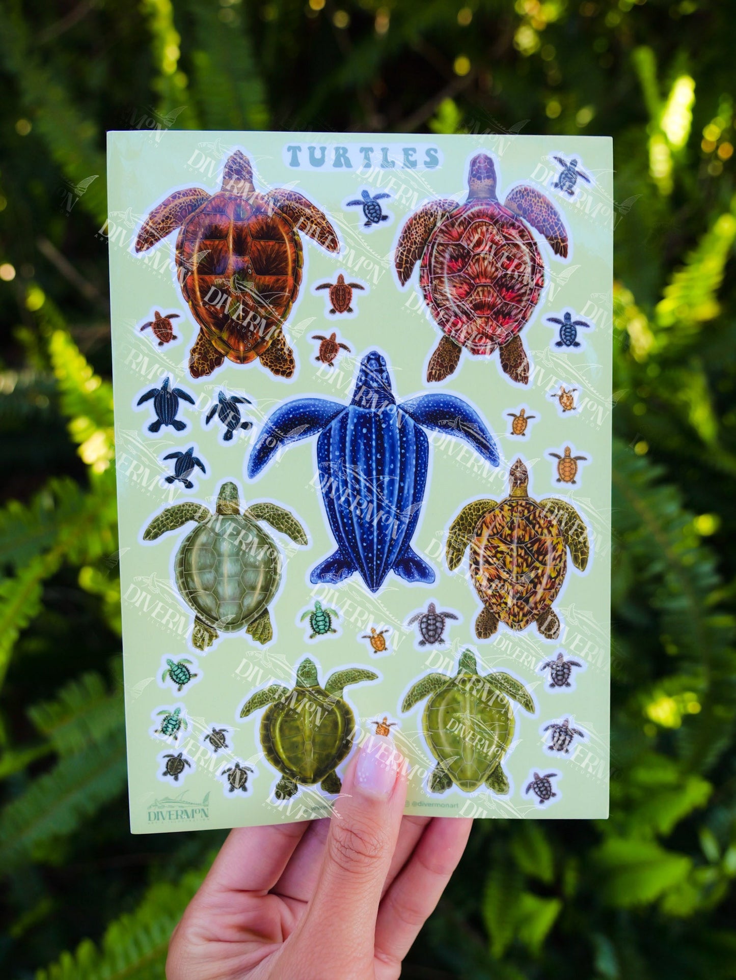 TURTLES sticker sheet