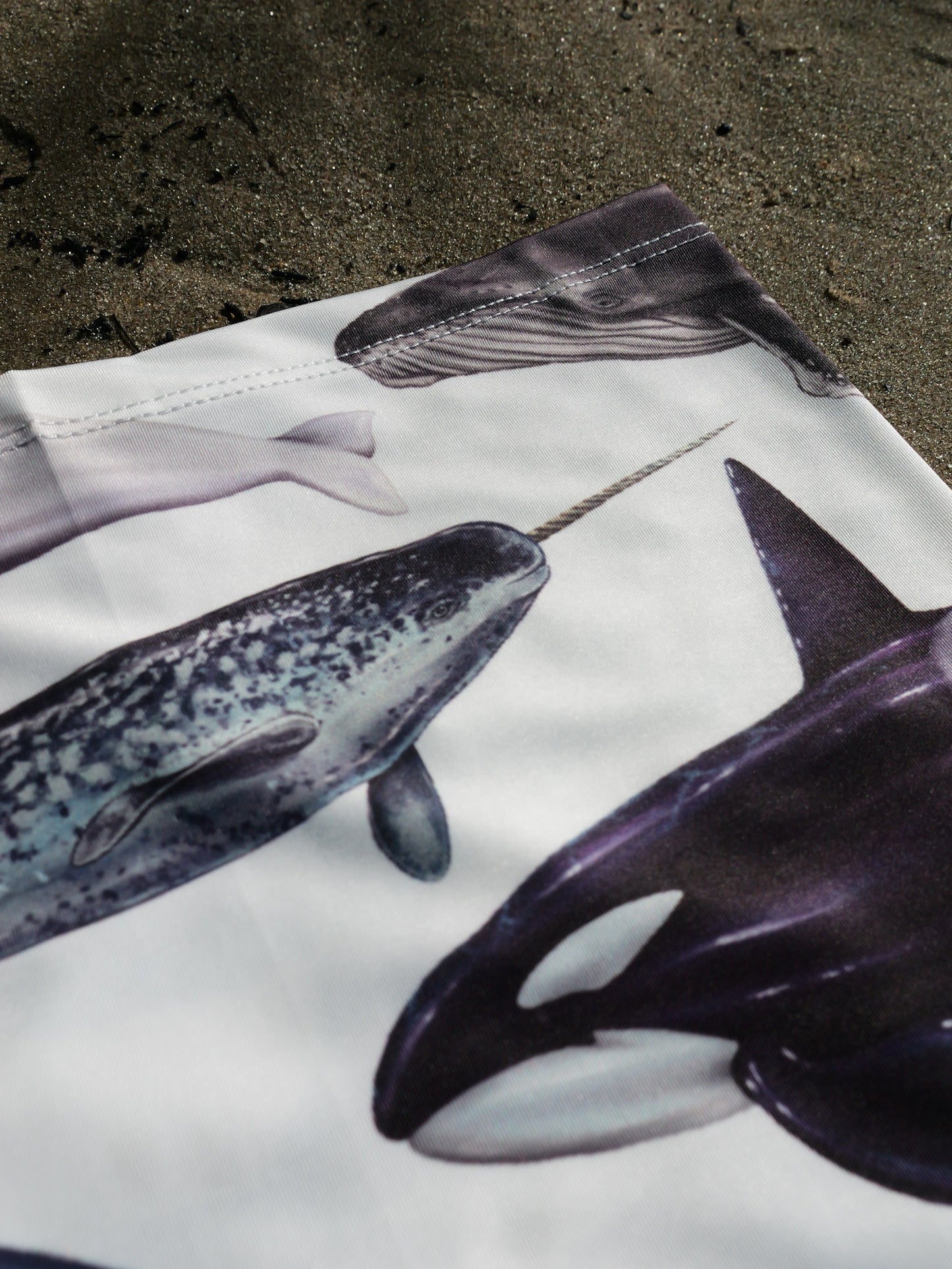 CETACEANS (original) GAITER