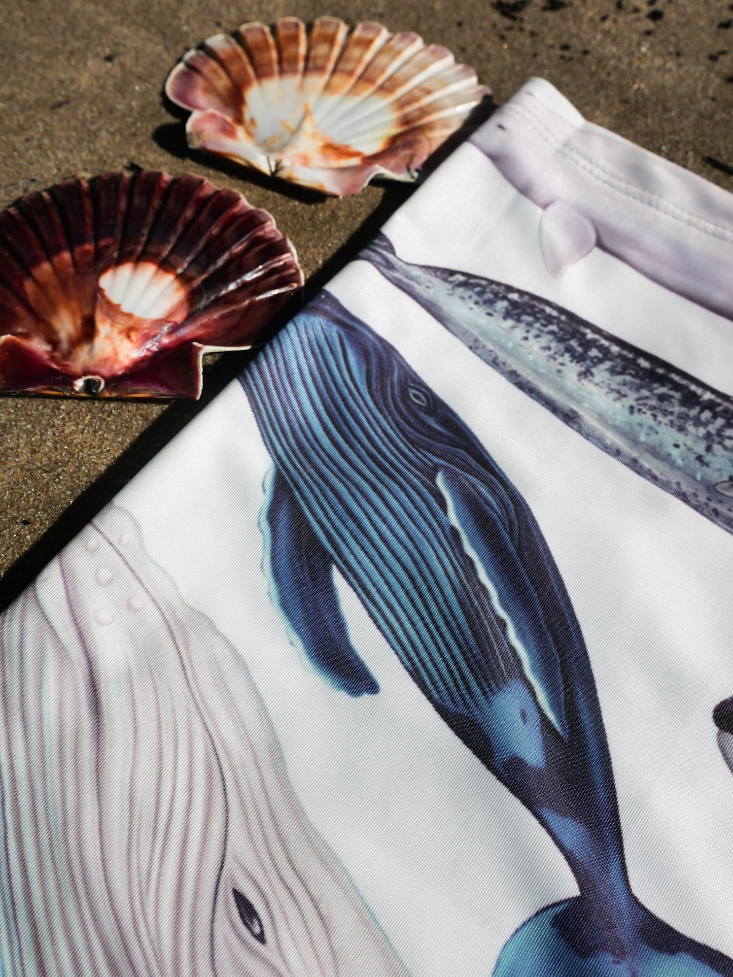 CETACEANS (original) GAITER