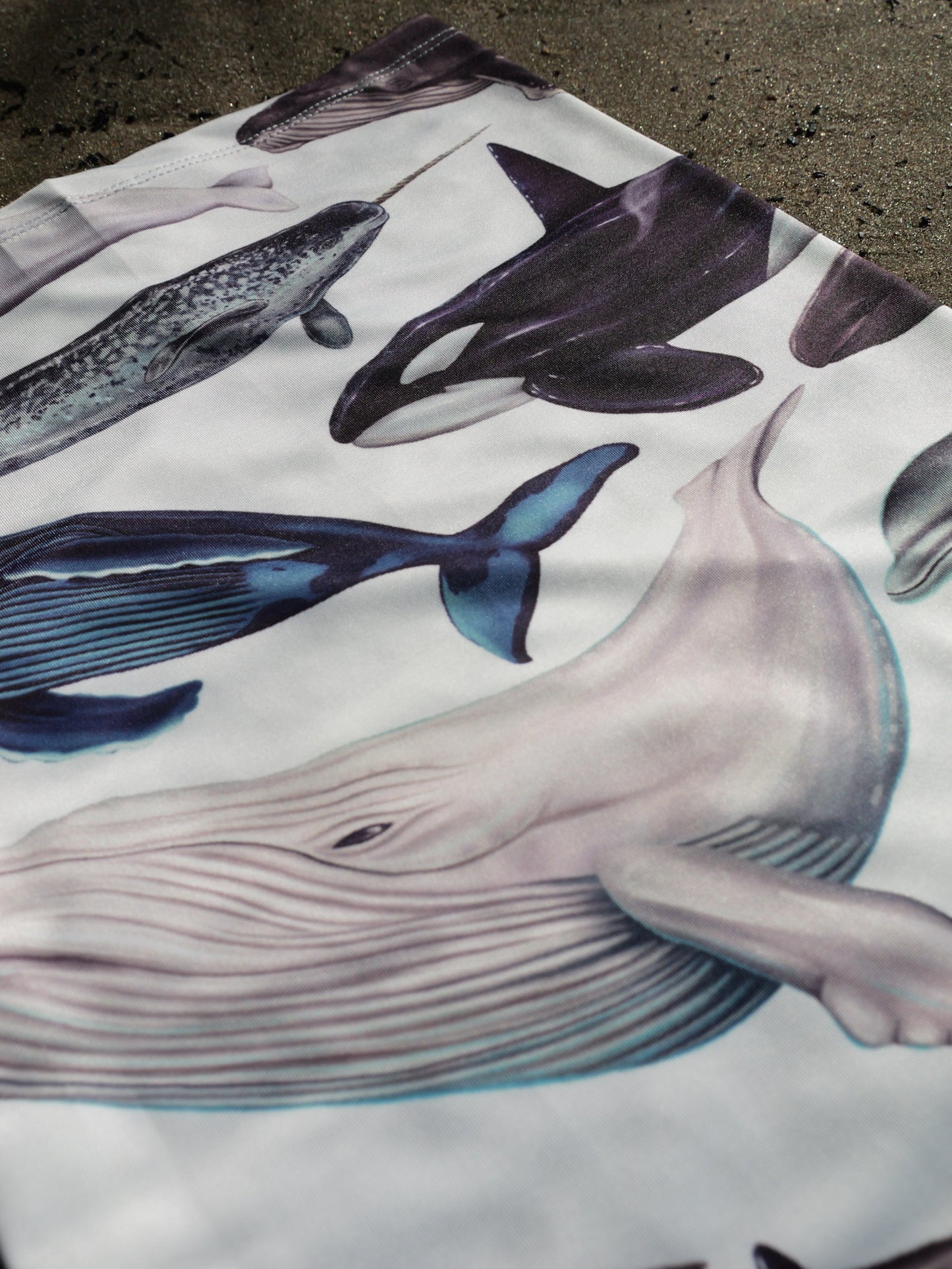 CETACEANS (original) GAITER