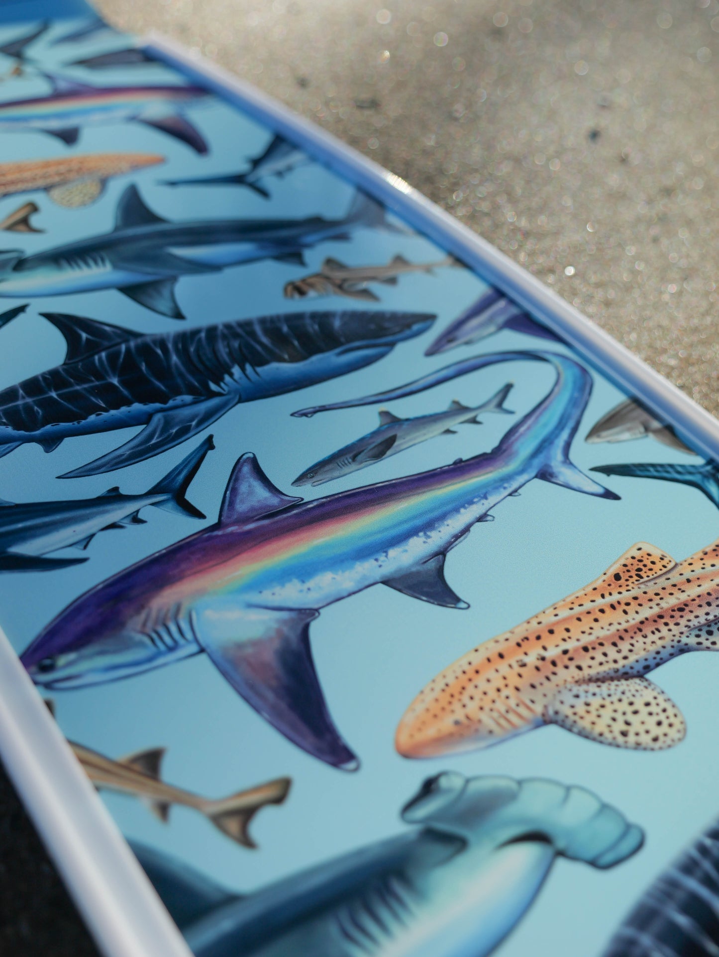 WHITE SHARK FREEDIVING FINS