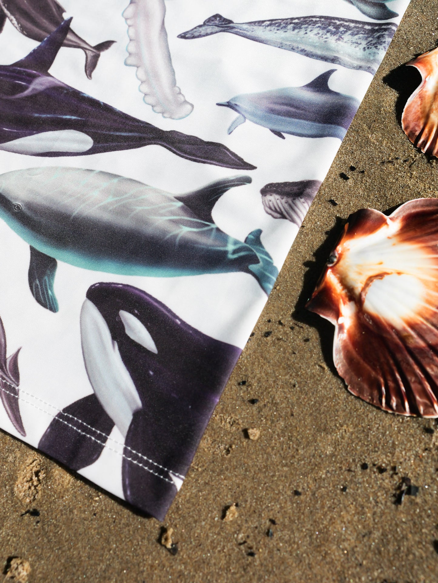 CETACEANS (original) GAITER