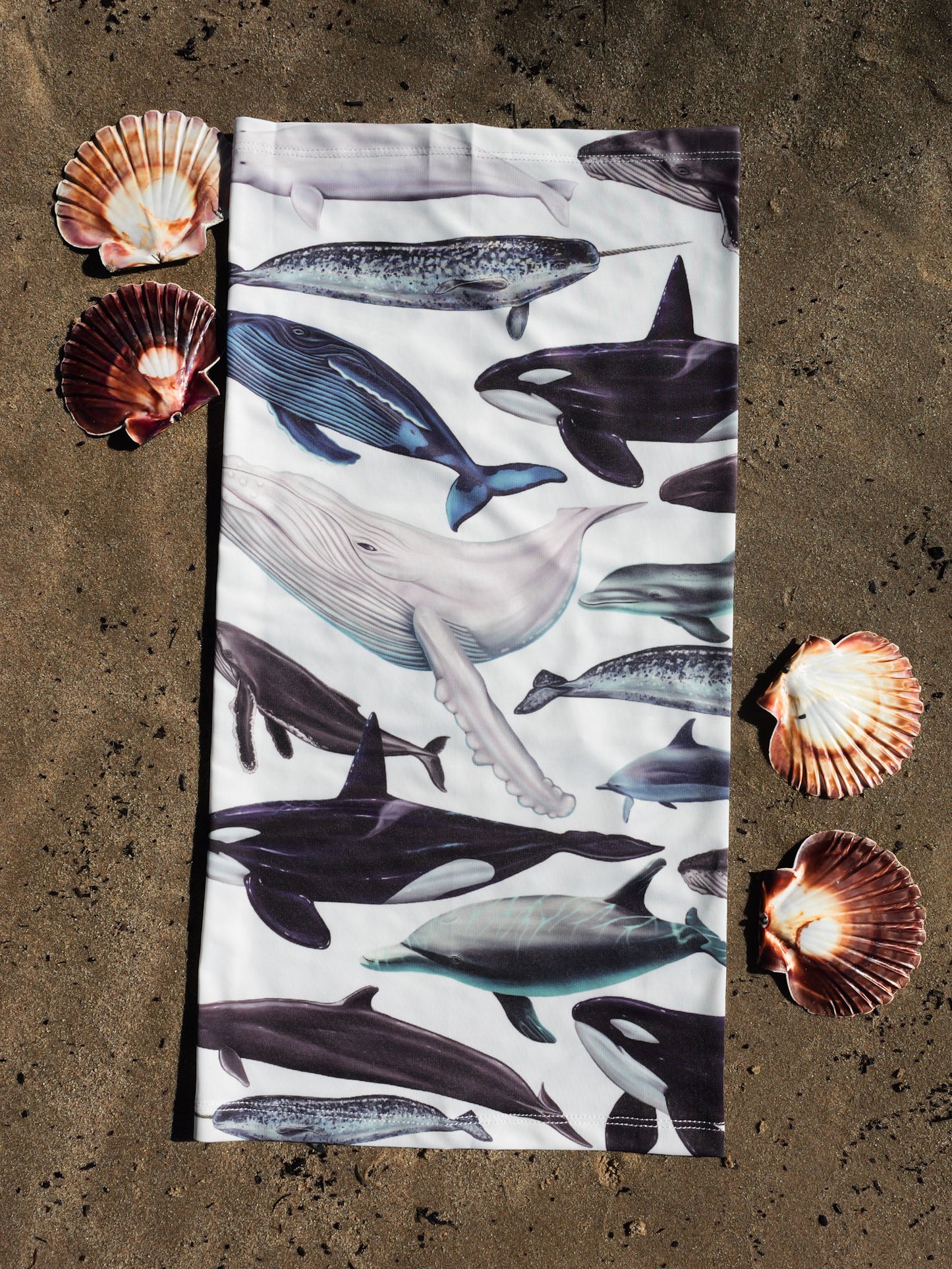 CETACEANS (original) GAITER