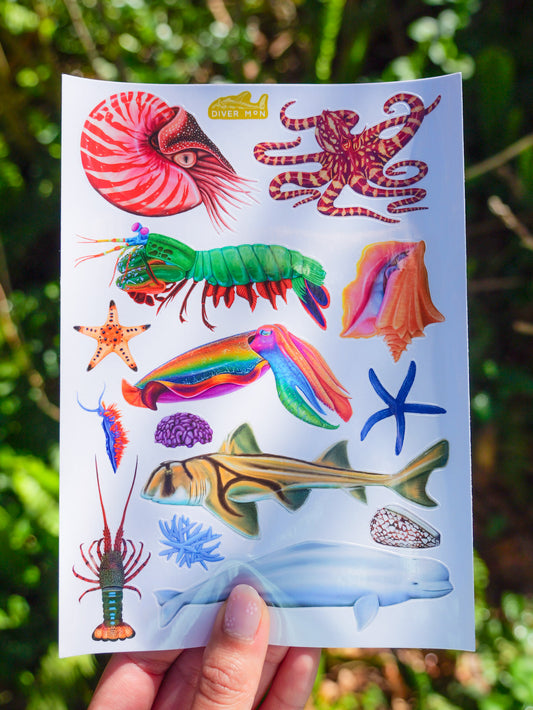 Nautilus sticker sheet