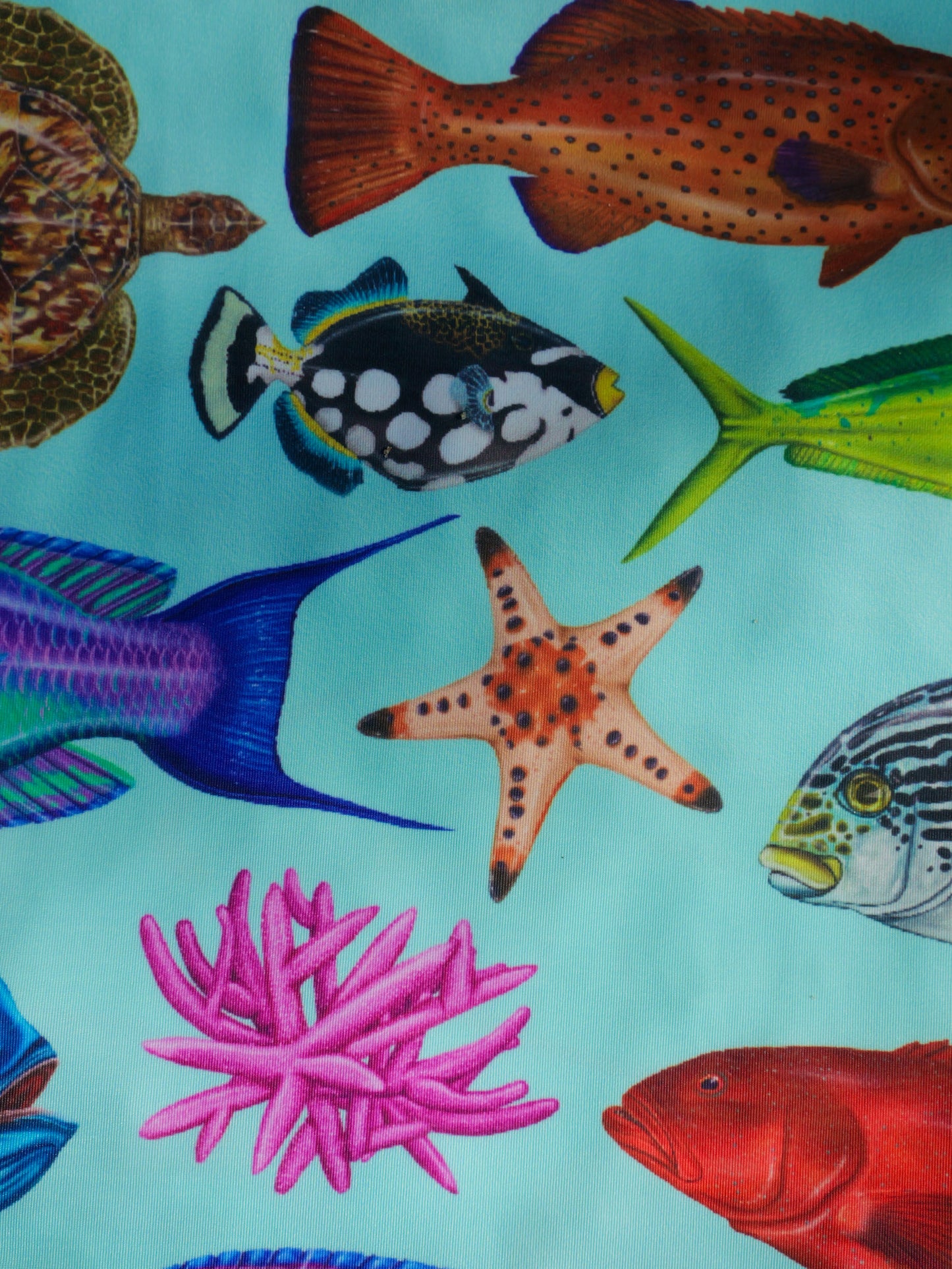 TROPICAL DREAM AQUA UV GAITER HEADWEAR