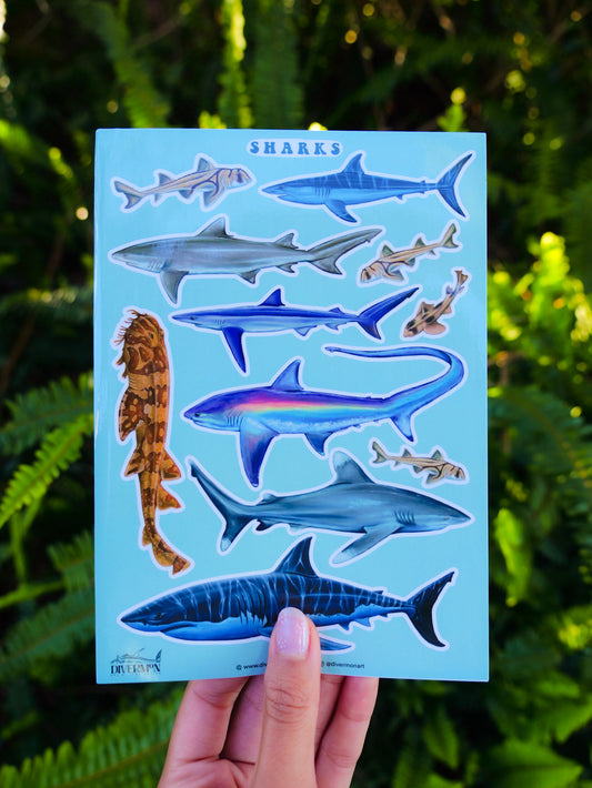 SHARKS sticker sheet