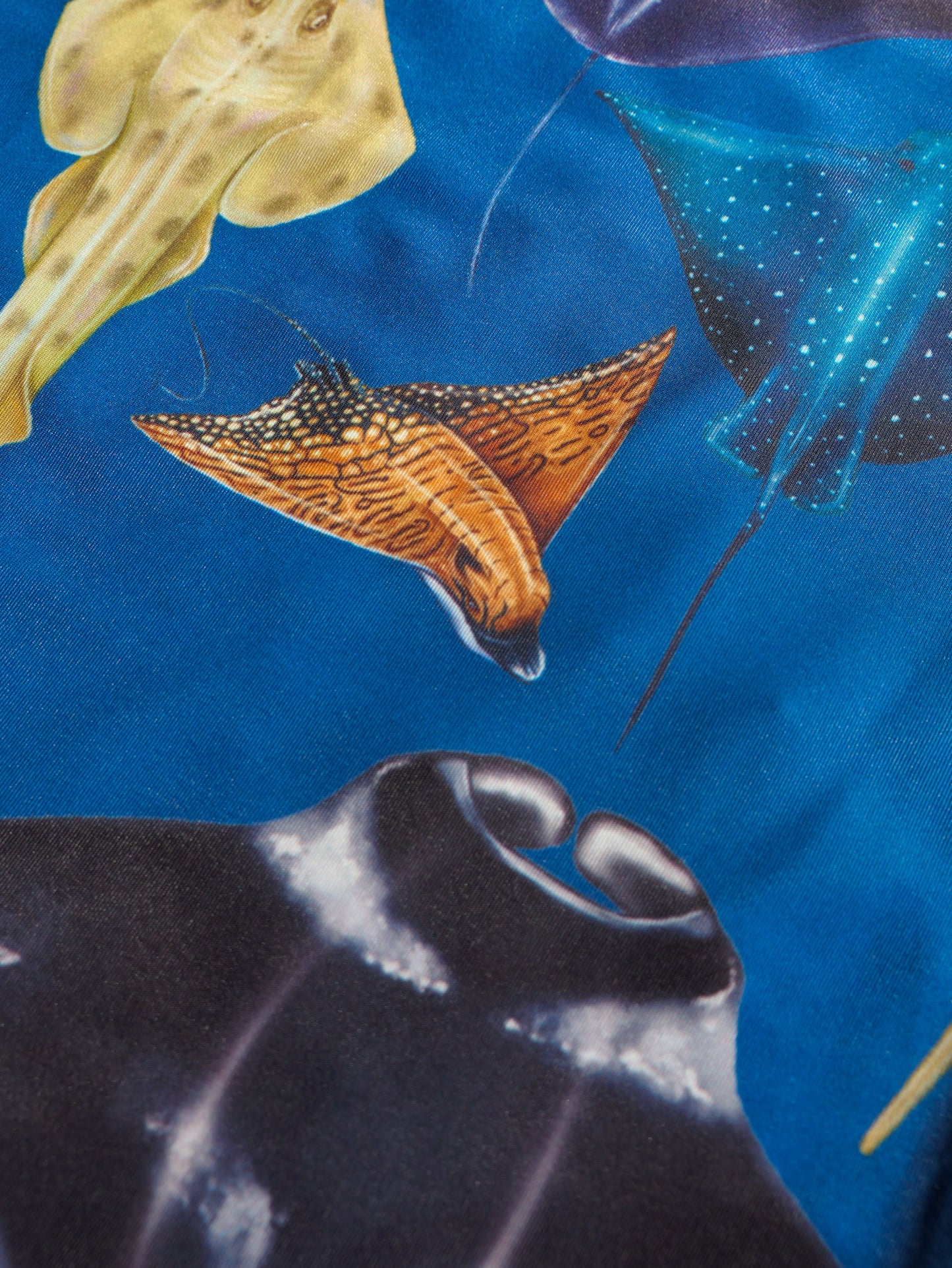 Rays Dark Blue buff headwear close up Divermon marine life print