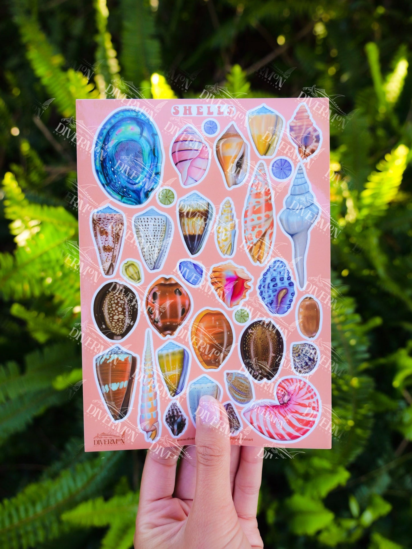 SHELLS sticker sheet