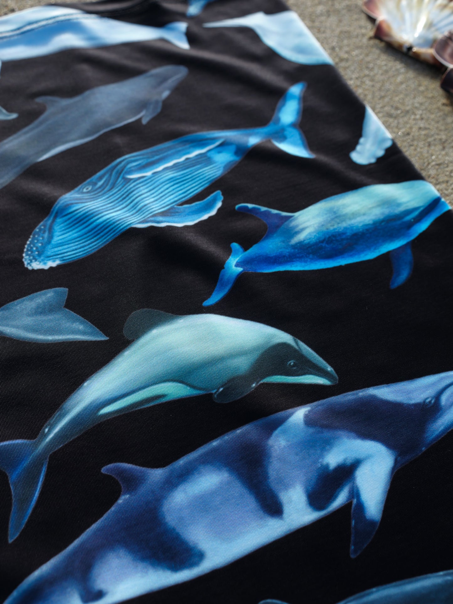 CETACEANS 2.0 BLACK GAITER