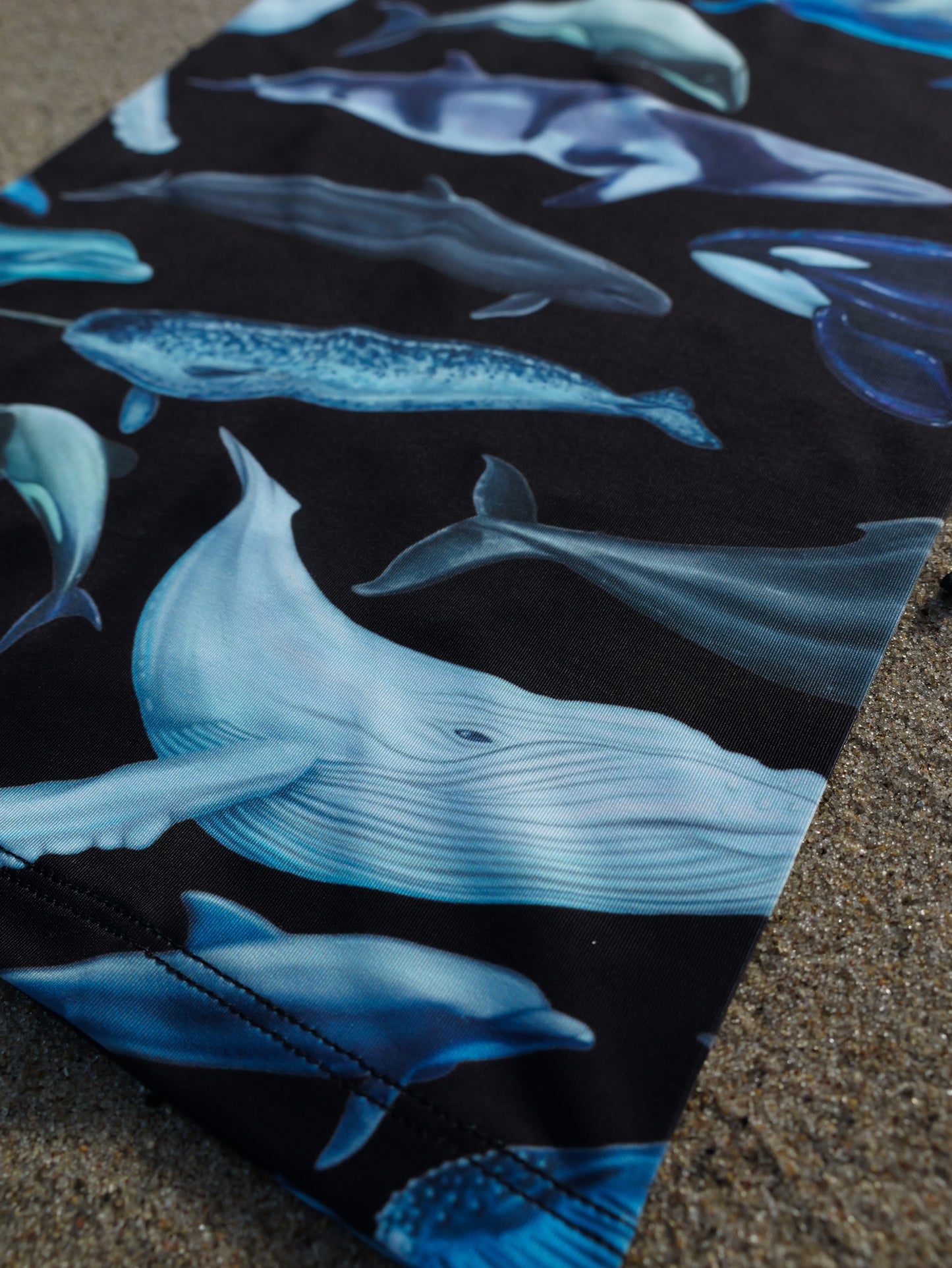 CETACEANS 2.0 BLACK GAITER
