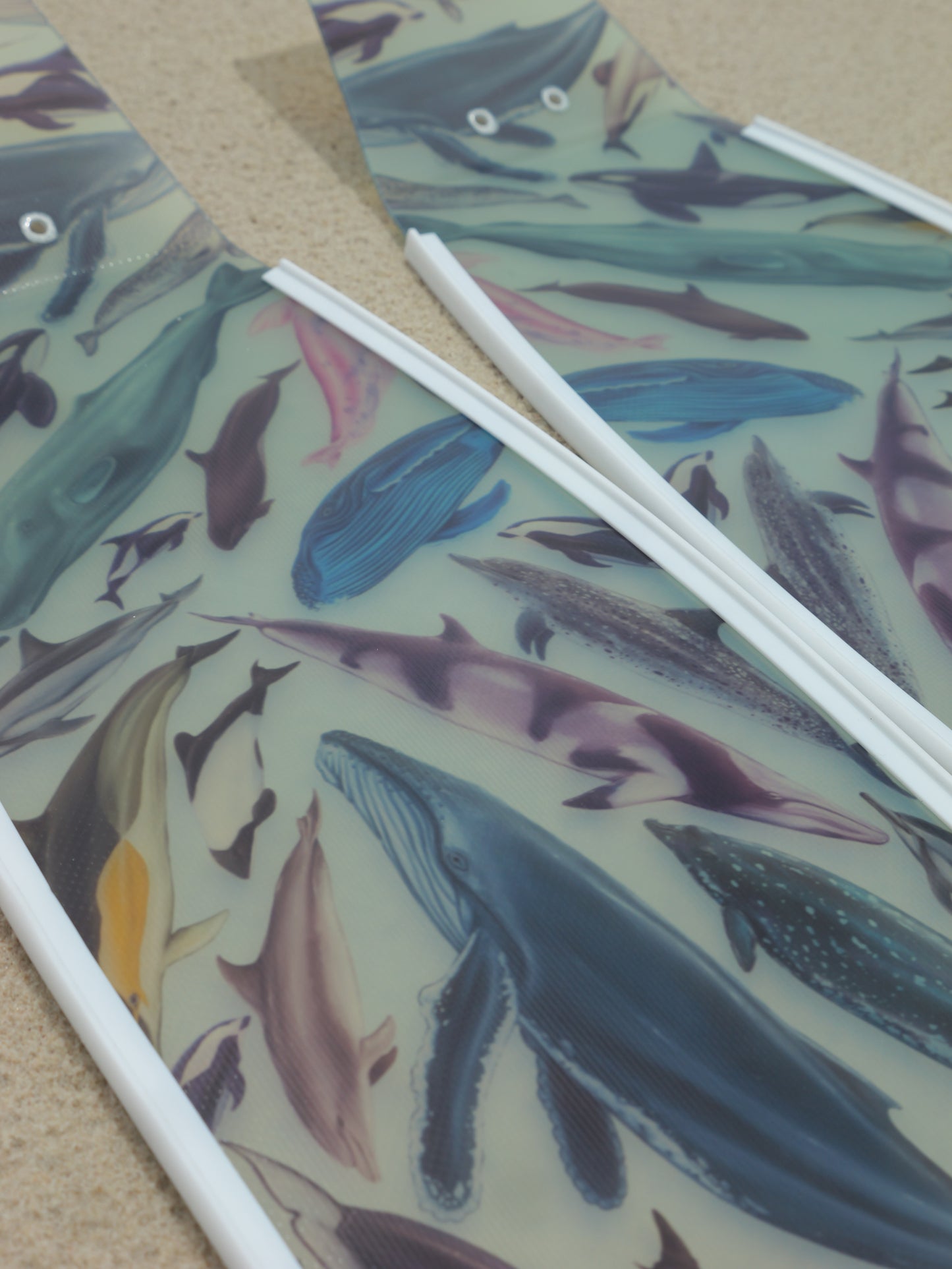 CETACEANS WHITE FREEDIVING FINS