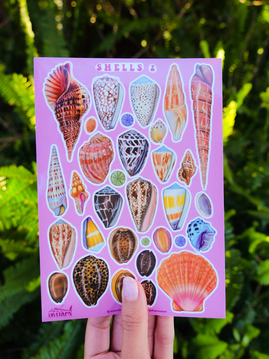 SHELLS 2 sticker sheet
