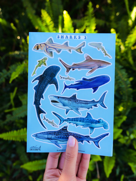 SHARKS  3 sticker sheet
